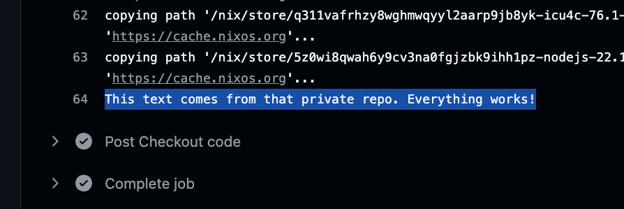 “Running code from a private repo”)